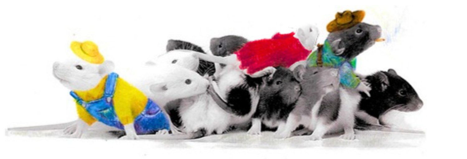 Des souris costumées en ouvriers agricoles, visuel du spectacle.